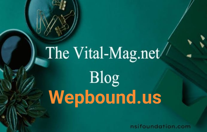 the //vital-mag.net blog