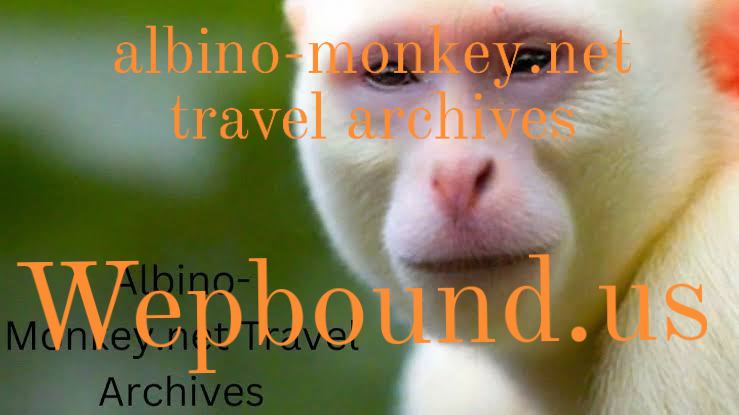 albino-monkey.net travel archives