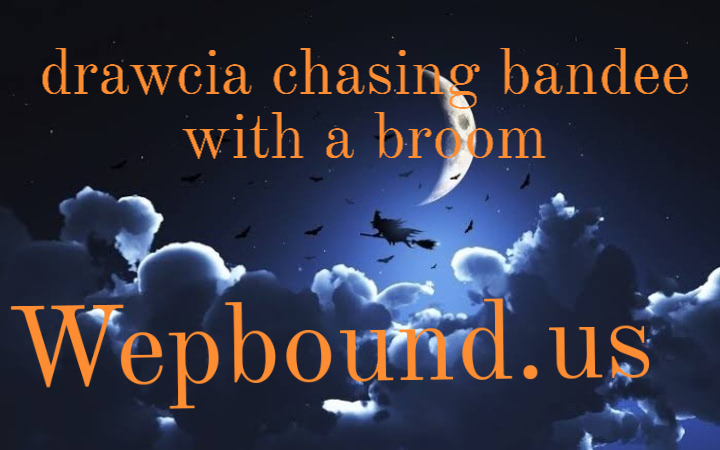 drawcia chasing bandee with a broom